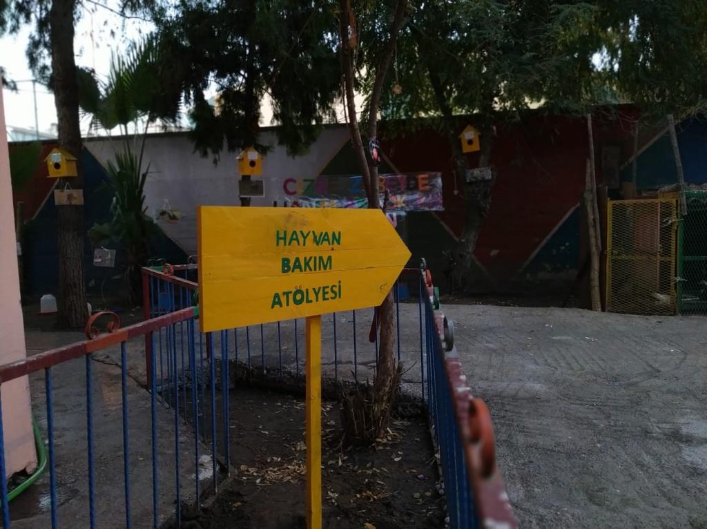 21-11-2019